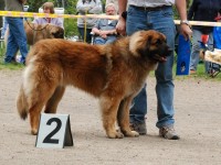 /album/fotogalerie-vrh-f/felice-poradi2-jpg1/